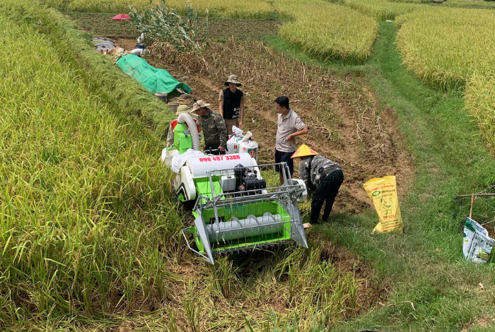 Nâng cao hiệu quả trong sản xuất nông nghiệp 3