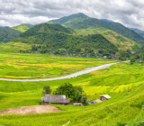 Tây Bắc nên dùng loại máy gặt lúa nào